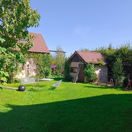Penzion Domanin Třeboň Dış mekan fotoğraf